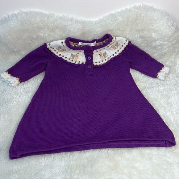 JANIE AND JACK 0-3m PURPLE PUPPY DOG SWEATER STYLE DRESS WINTER WHIMSEY cotton - Picture 7 of 16